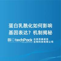 蛋白乳酰化如何影响基因表达?机制揭秘