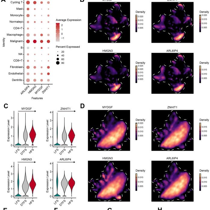 定制化生信分析-肿瘤多组学发文思路
