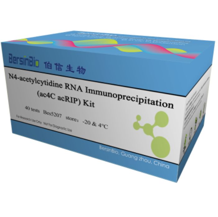 RNA乙酰化免疫共沉淀技术（ac4C acRIP）