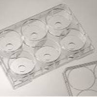 6孔小孔玻底板（激光共聚焦专用培养板）