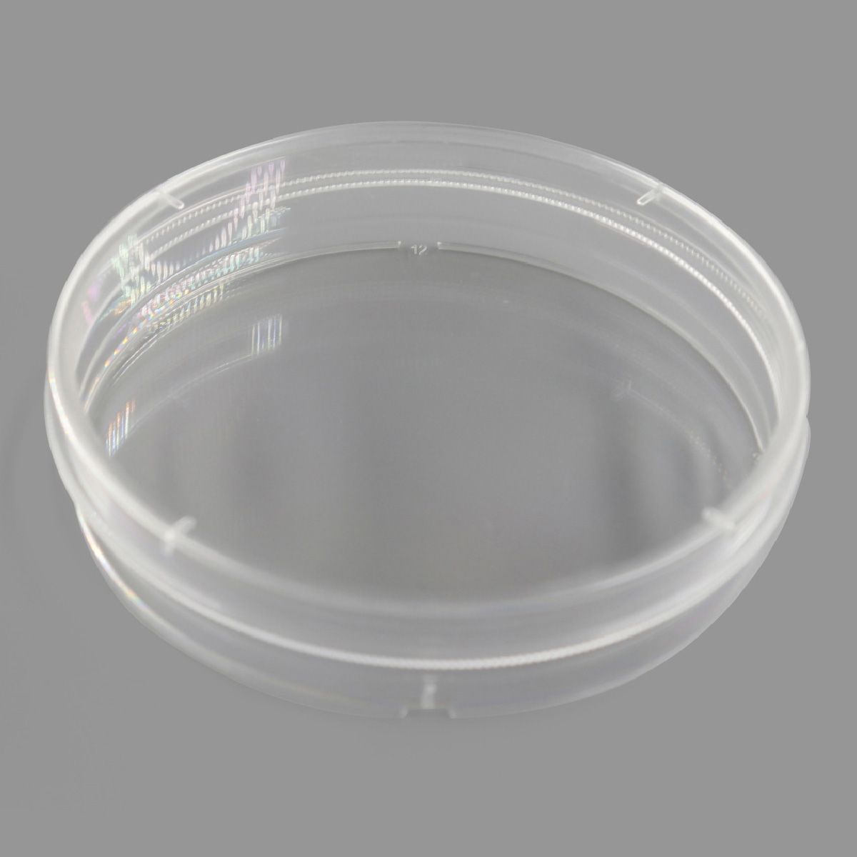 BeyoGold™ 150mm细胞培养皿