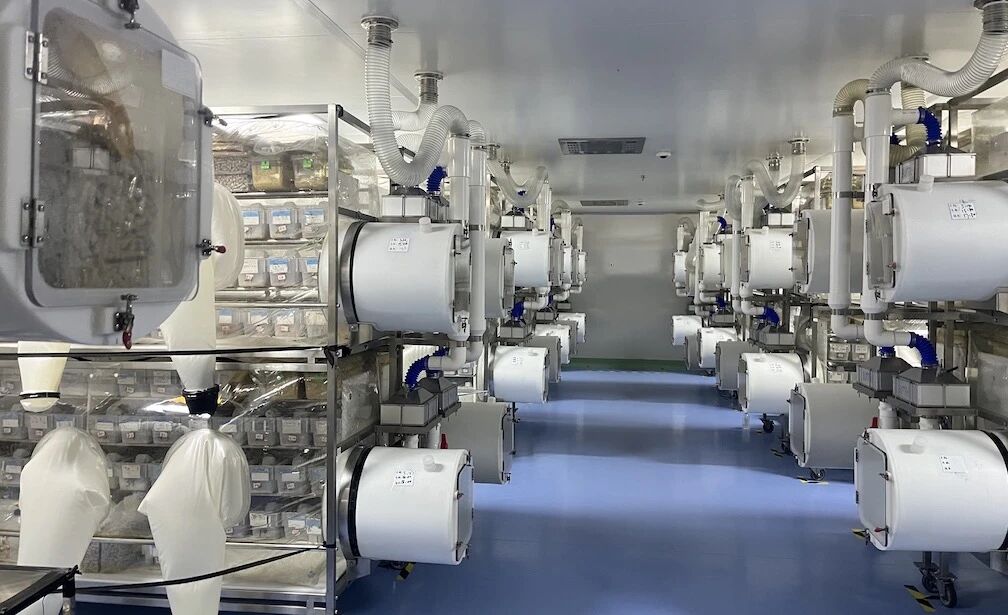 小鼠不孕不育的主要原因与解决方案