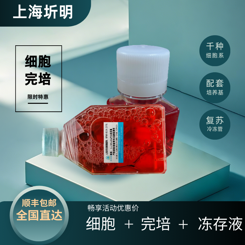 大鼠视网膜muller细胞永生化