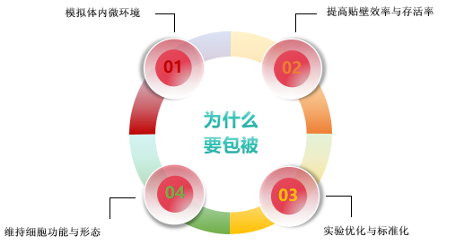 原代细胞 1.png 原代细胞 1.png