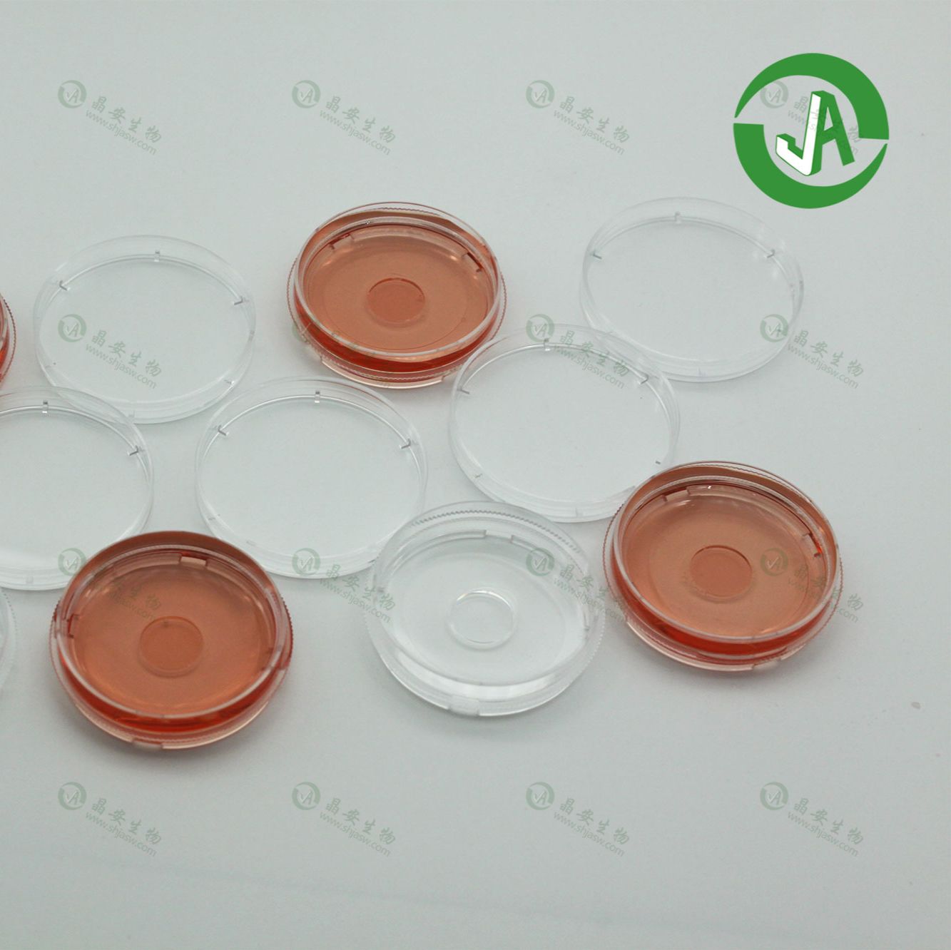 35mm激光共聚焦专用玻底培养皿（玻璃底直径10mm14mm20mm）