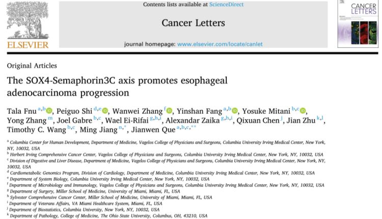 Cancer Letters丨类器官模型证实SOX4-SEMA3C轴是食管腺癌进展的“加速器”！