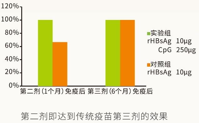 一文了解疫苗增效剂——CpG 免疫佐剂