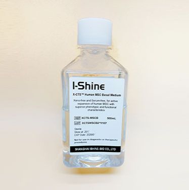 X-CTS系列MSC间充质干细胞基础培养基
