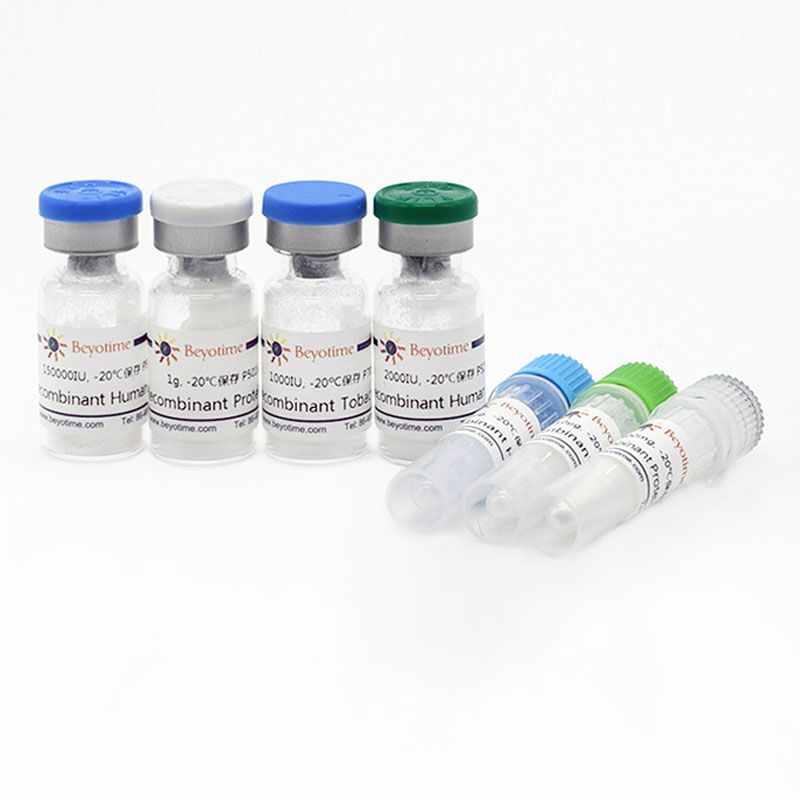 Bst DNA Polymerase, Large Fragment D7050