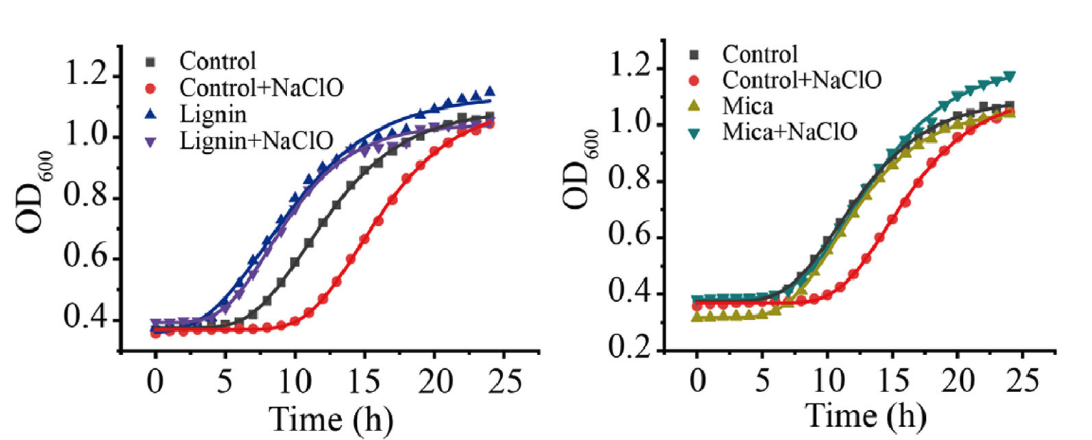 BMG LABTECH多功能酶标仪文献分享,病原体与生物安全国家重点实验室研究团队发表发表在Water research X 名为 “The hydrophobicity of lignin enhances E. coli survival during NaClO exposure” .....
