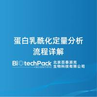 蛋白乳酰化定量分析流程详解