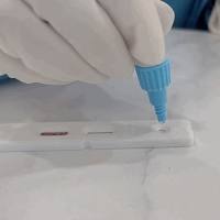 基 孔肯雅病毒IgG抗体检测试剂盒(ELISA法)