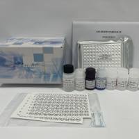 人转化生长因子β1(TGF-β1)ELISA检测试剂盒