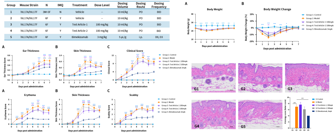 开学伊始，你的模式动物选好了吗！