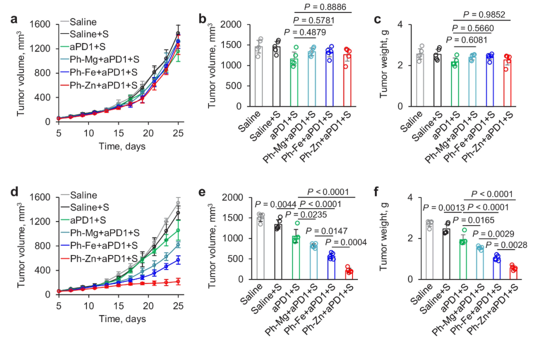 开学伊始，你的模式动物选好了吗！