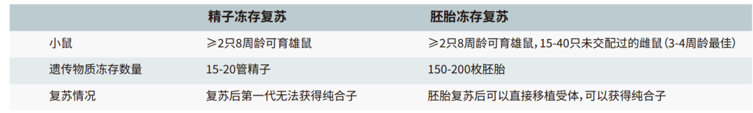 新学期小鼠不够、周龄不齐？一文帮你告别繁育焦虑