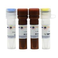 一步法TUNEL细胞凋亡检测试剂盒(绿色荧光)