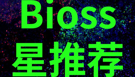 Bioss 星推荐 | CD36 抗体