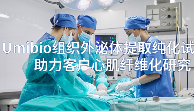 IF=12.1 | Umibio组织外泌体提取纯化试剂盒（UR52161）助力客户心肌纤维化研究！