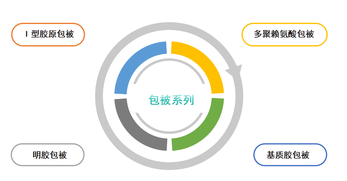 原代细胞 3.png 原代细胞 3.png