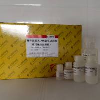 磁珠法游离 DNA 提取试剂盒