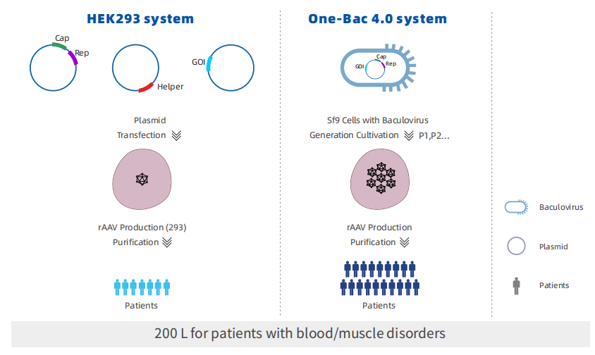 产品细节图片14