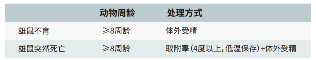 新学期小鼠不够、周龄不齐？一文帮你告别繁育焦虑