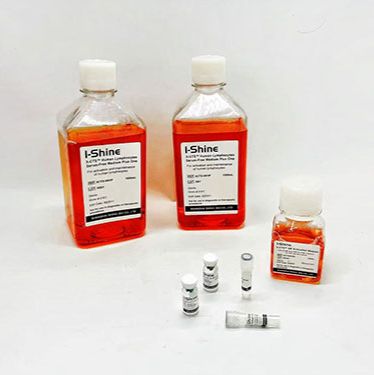 因子法NK细胞扩增试剂盒
