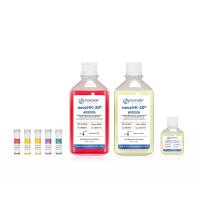 人NK细胞高效激活扩增试剂盒