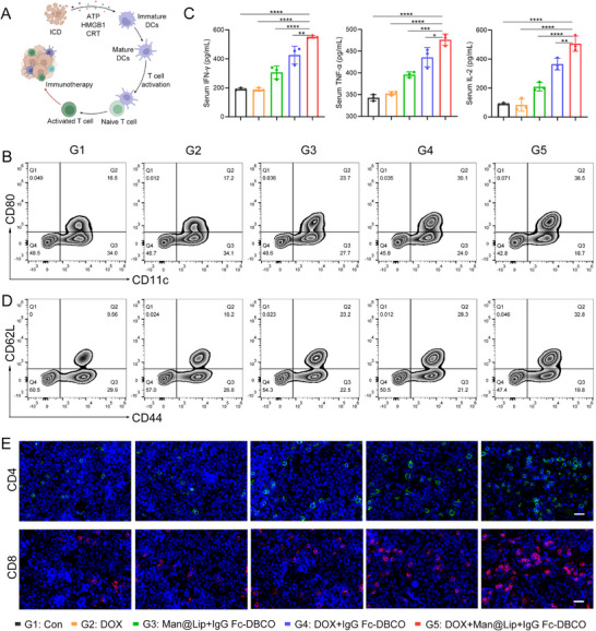 工程化外泌体 工程化外泌体