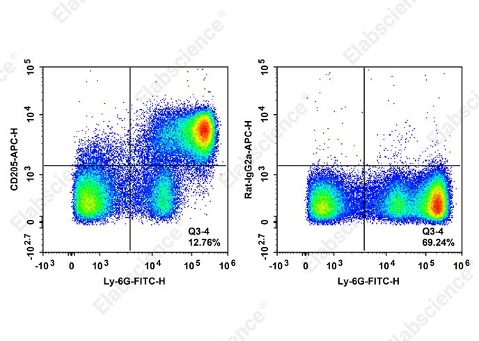 突破性研究利器：Elabscience APC 标记抗小鼠 CD205 抗体[NLDC-145]，解锁树突状细胞研究新维度