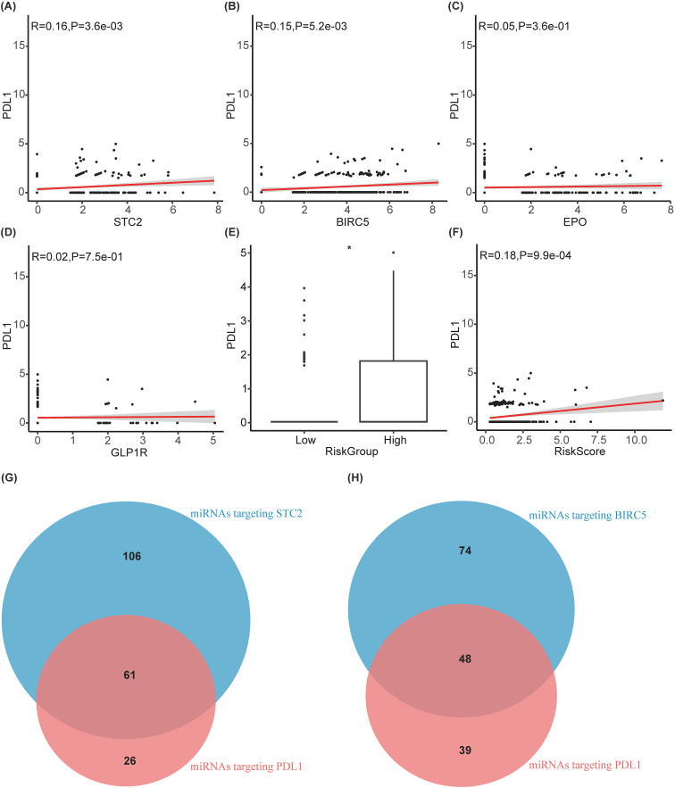 IF5.9,基于分子亚型的免疫相关特征,用于预测肝细胞癌的预后和免疫治疗效果