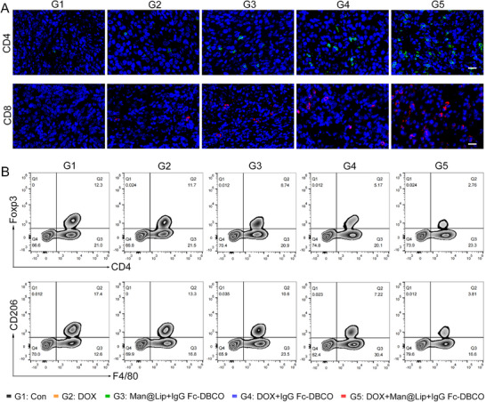 工程化外泌体 工程化外泌体