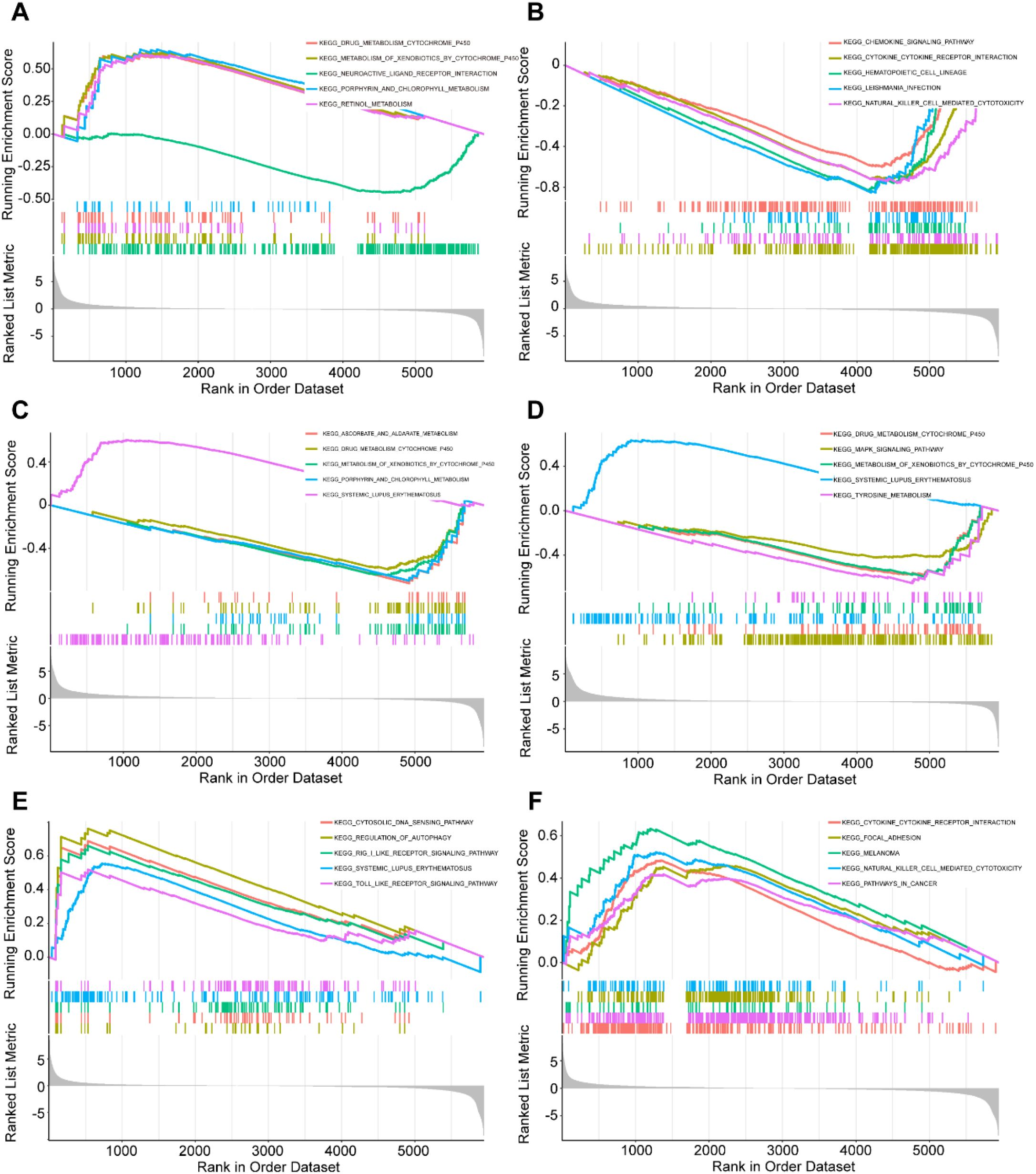 IF:5.9单细胞+乳酸化+机器学习,赋能锁定膀胱癌“代谢-乳酸化”双靶点FASN/RUNX2!