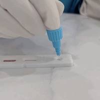 土拉热弗朗西斯菌抗原检测试剂盒（胶体金法）说明书