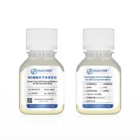 NK细胞种子库冻存液