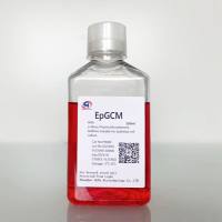 EpGCM低血清上皮细胞基础培养基