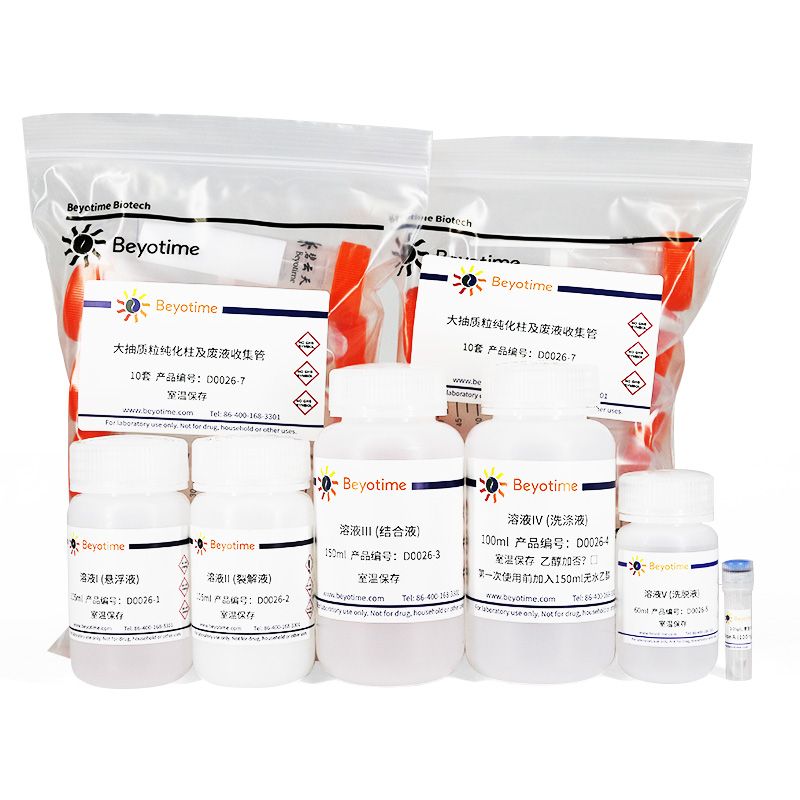 质粒大量抽提试剂盒