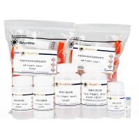 质粒大量抽提试剂盒