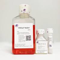 STEMCult™IPS-XF细胞培养基