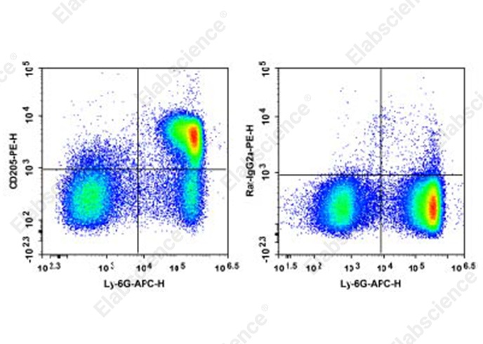 精准靶向小鼠 CD205！Elabscience PE 标记抗小鼠 CD205 抗体[NLDC-145]，助力流式细胞术研究