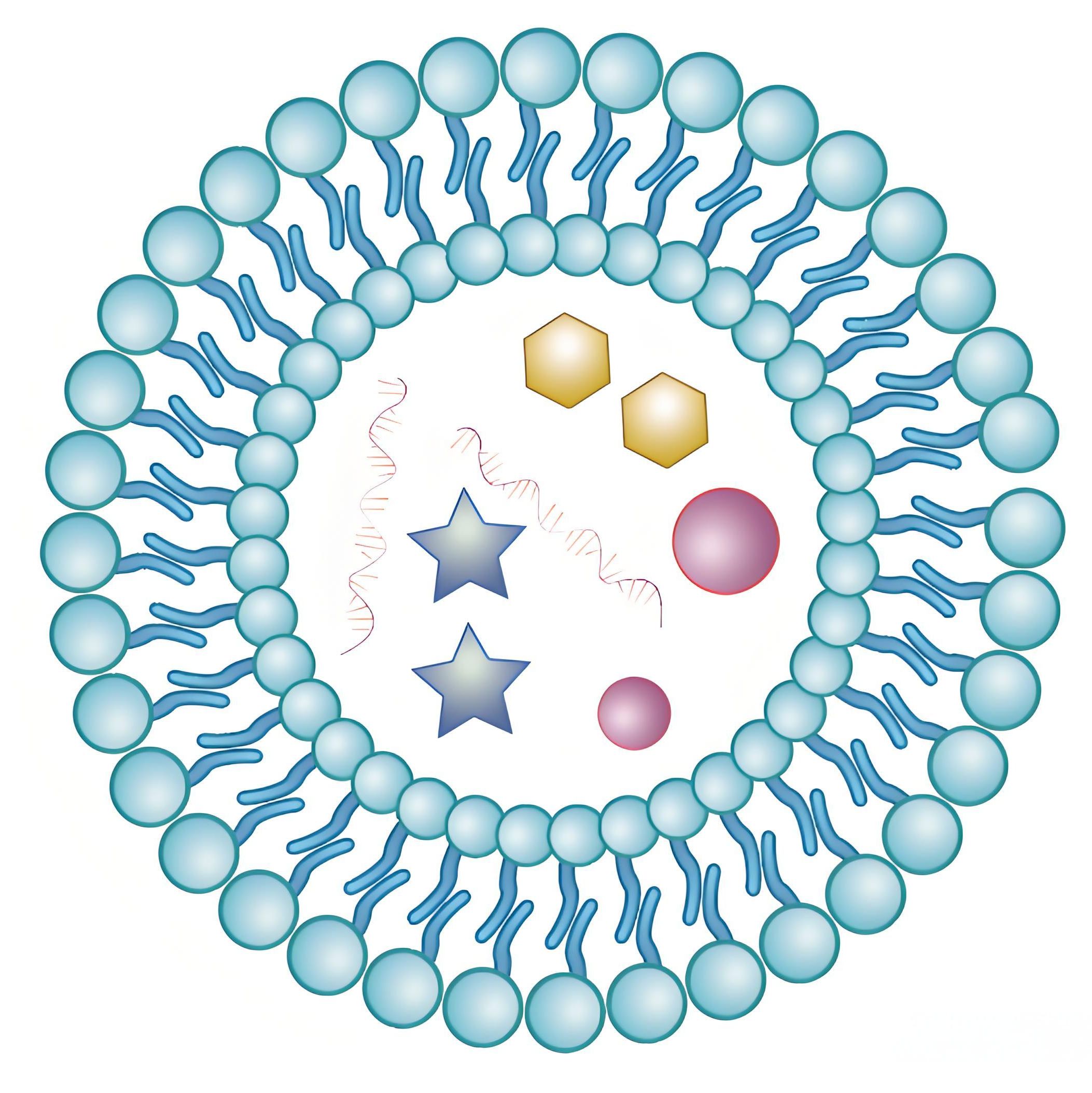 具备荧光成像能力的环RGD修饰负载顺铂脂质体在肺癌耐药性治疗中的应用 CDDP/Coumarin-6@Liposome-cRGD