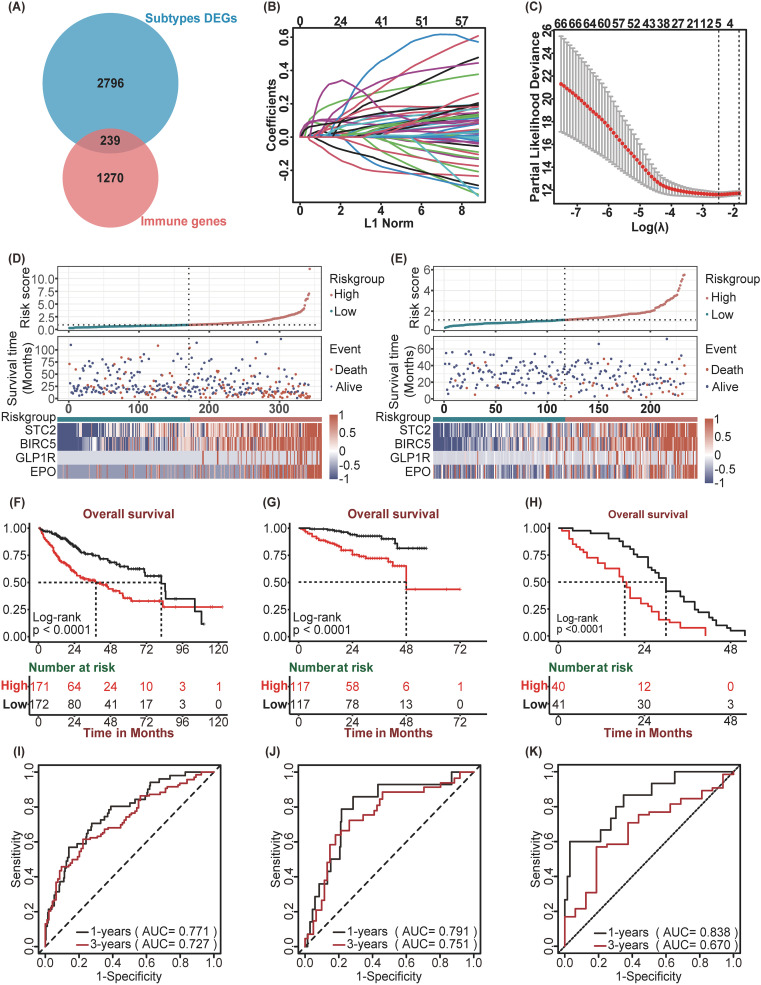 IF5.9,基于分子亚型的免疫相关特征,用于预测肝细胞癌的预后和免疫治疗效果