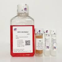 MDSC 髓源细胞培养基MDSC