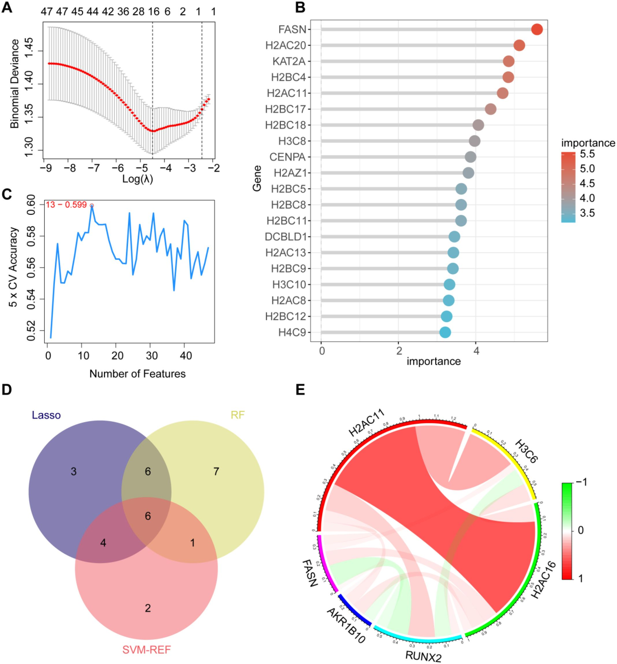 IF:5.9单细胞+乳酸化+机器学习,赋能锁定膀胱癌“代谢-乳酸化”双靶点FASN/RUNX2!