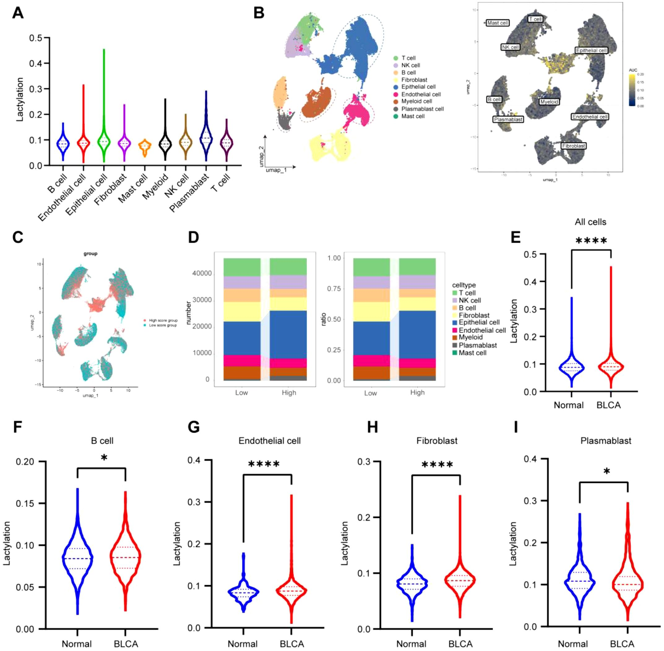 IF:5.9单细胞+乳酸化+机器学习,赋能锁定膀胱癌“代谢-乳酸化”双靶点FASN/RUNX2!