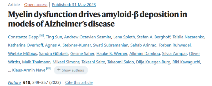 Nature  |  组织透明化三维成像揭示AD发病重要因素