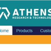 Apolipoprotein CII Antigen