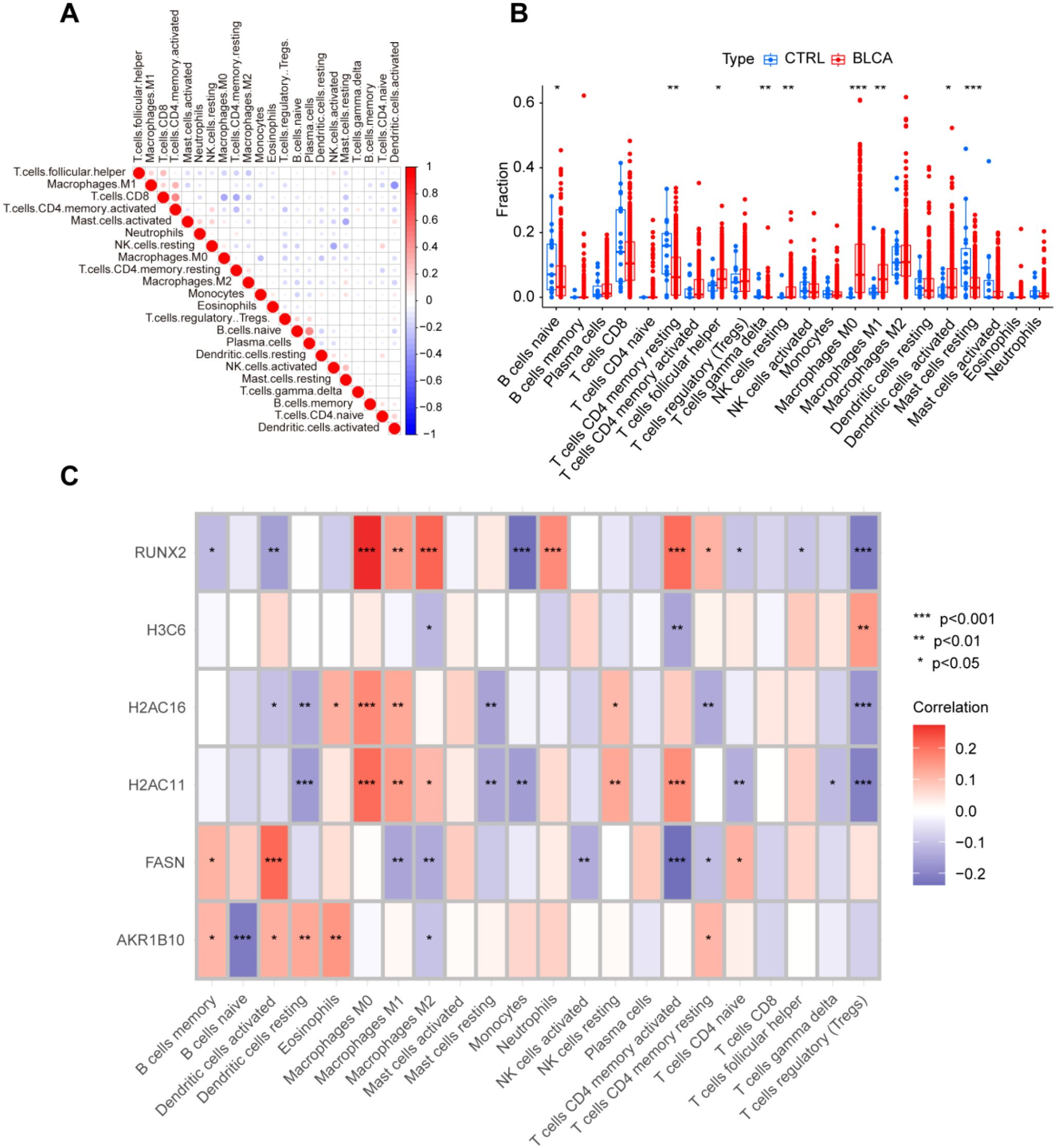 IF:5.9单细胞+乳酸化+机器学习,赋能锁定膀胱癌“代谢-乳酸化”双靶点FASN/RUNX2!
