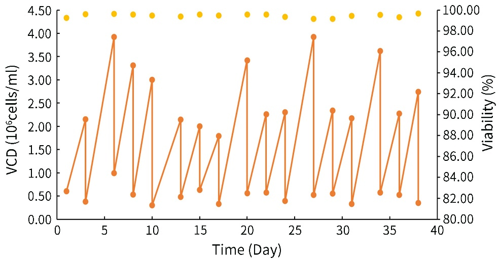 CD CHO细胞培养液
